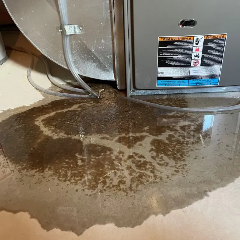 Pipe Burst and Leak Restoration in Bexley, OH